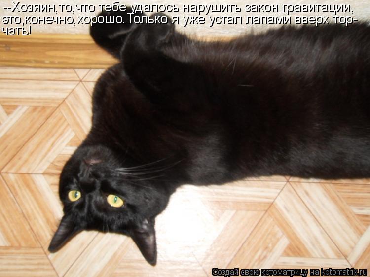 Котоматрица: --Хозяин,то,что тебе удалось нарушить закон гравитации, это,конечно,хорошо.Только я уже устал лапами вверх тор- чать!