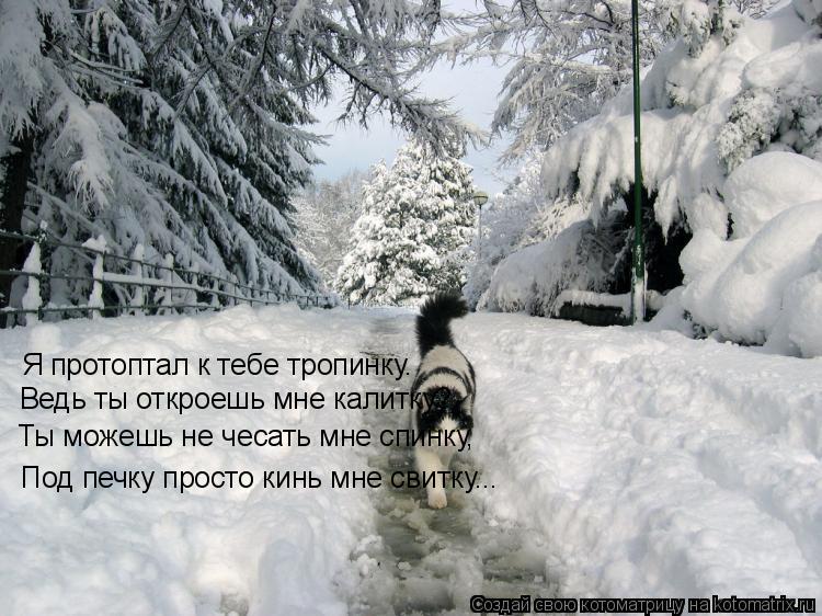 Я протоптал к тебе тропинку. Ведь ты откроешь мне калитку? Ты можешь не чесать мне спинку, Под печку ... Котоматрица: Я протоптал к тебе тропинку. Ведь ты откроешь мне калитку? Ты можешь не чесать мне спинку, Под печку просто кинь мне свитку...