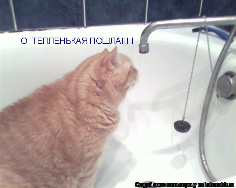 О, ТЕПЛЕНЬКАЯ ПОШЛА!!!!!... Котоматрица: О, ТЕПЛЕНЬКАЯ ПОШЛА!!!!!