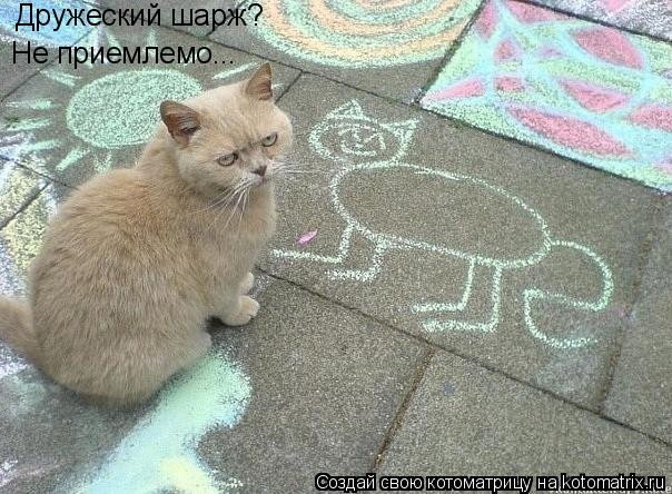Дружеский шарж? Не приемлемо...... Котоматрица: Дружеский шарж? Не приемлемо...