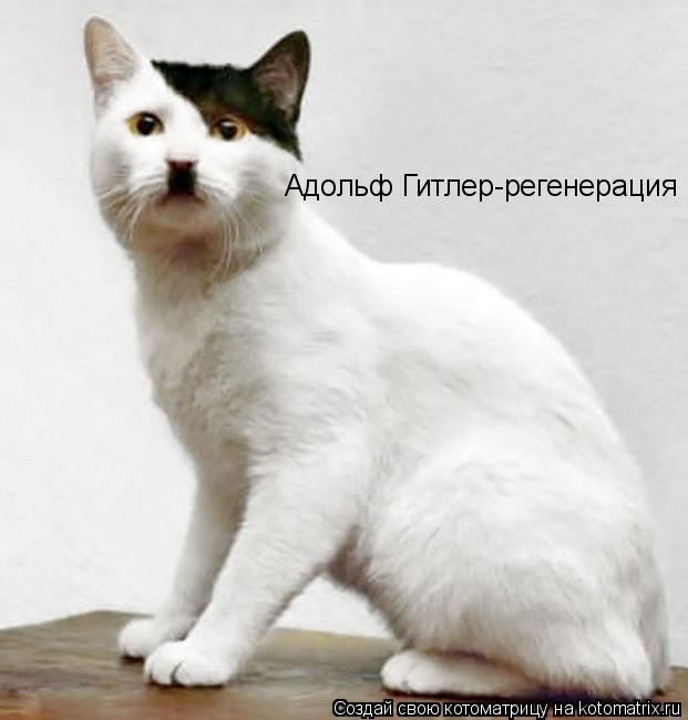 Адольф Гитлер-регенерация... Котоматрица: Адольф Гитлер-регенерация