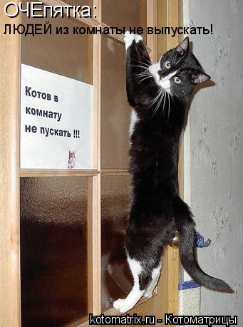 ОЧЕпятка: ЛЮДЕЙ из комнаты не выпускать!... Котоматрица: ОЧЕпятка: ЛЮДЕЙ из комнаты не выпускать!