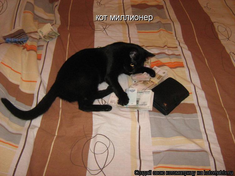 кот миллионер... Котоматрица: кот миллионер