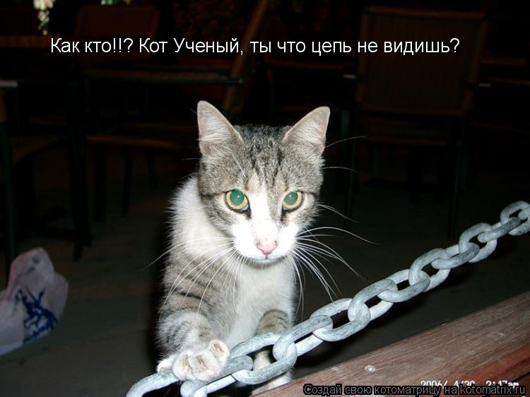 Как кто!!? Кот Ученый, ты что цепь не видишь?... Котоматрица: Как кто!!? Кот Ученый, ты что цепь не видишь?