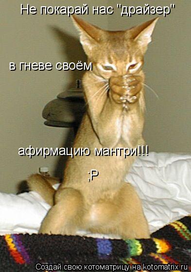 Не покарай нас "драйзер" в гневе своём Не покарай нас "драйзер" в гневе своём афирмацию мантри!!! ;Р... Котоматрица: Не покарай нас "драйзер" в гневе своём Не покарай нас "драйзер" в гневе своём афирмацию мантри!!! ;Р