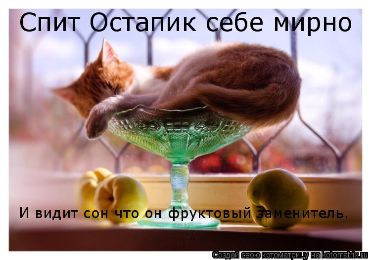 Спит Остапик себе мирно И видит сон что он фруктовый заменитель.... Котоматрица: Спит Остапик себе мирно И видит сон что он фруктовый заменитель.