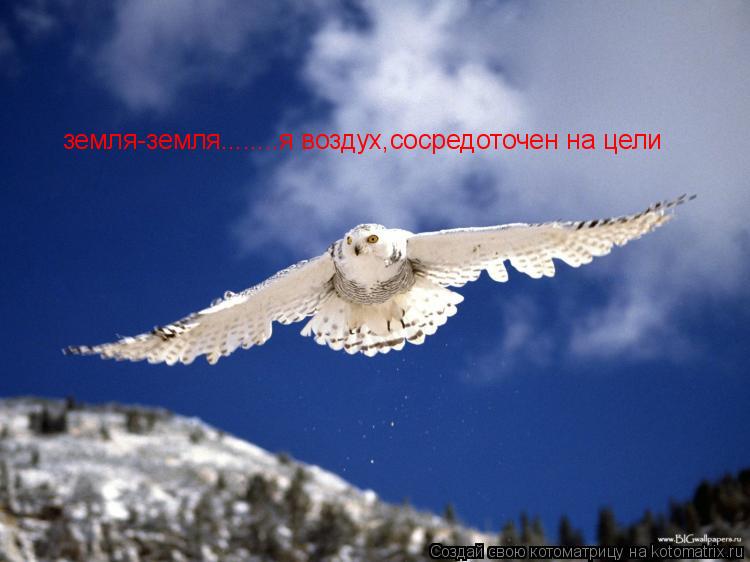 земля-земля........я воздух,сосредоточен на цели... Котоматрица: земля-земля........я воздух,сосредоточен на цели
