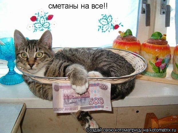 сметаны на все!!... Котоматрица: сметаны на все!!