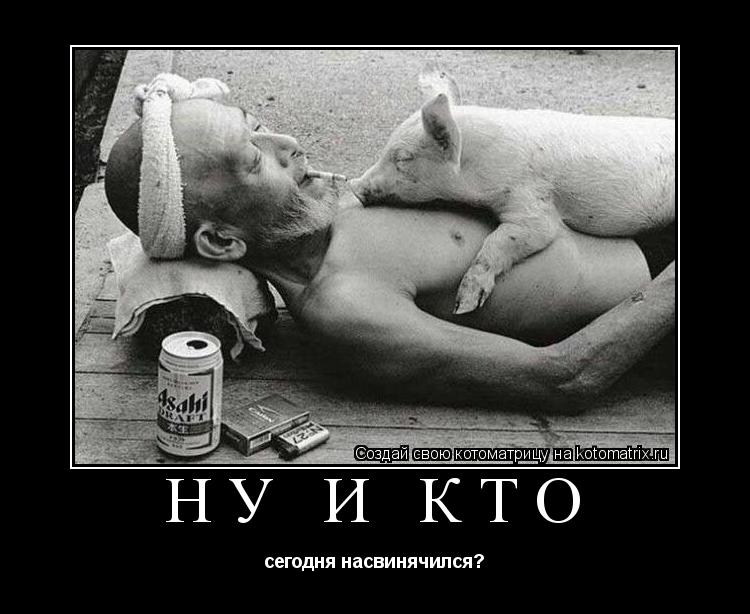 Котоматрица: Ну и кто сегодня насвинячился?