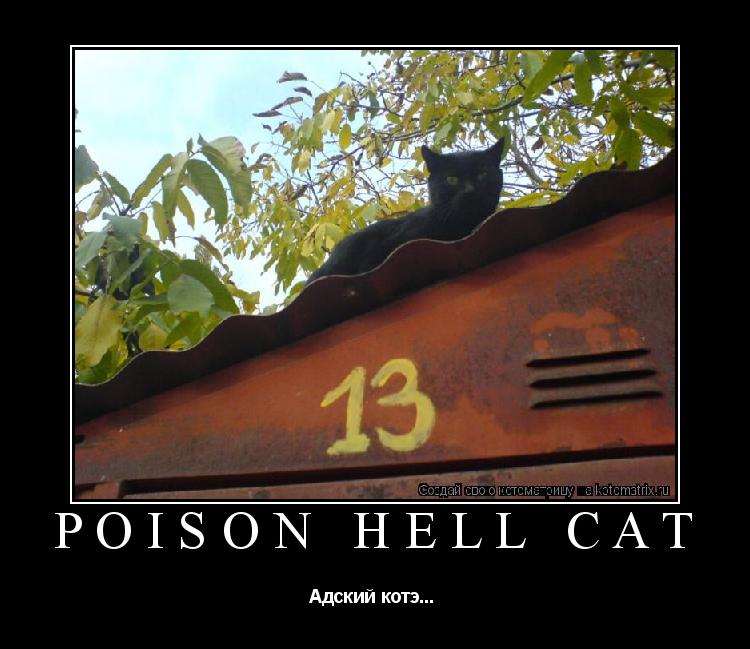 Poison hell cat Адский котэ... ... Котоматрица: Poison hell cat Адский котэ...