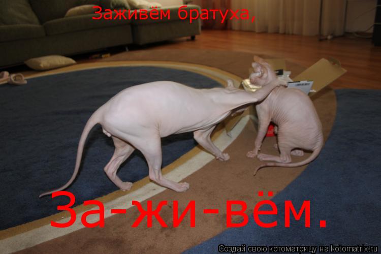 За-жи-вём. Заживём братуха,... Котоматрица: За-жи-вём. Заживём братуха,