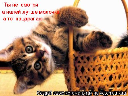 Ты не смотри а налей лутше молочка а то пацарапаю... Котоматрица: Ты не смотри а налей лутше молочка а то пацарапаю