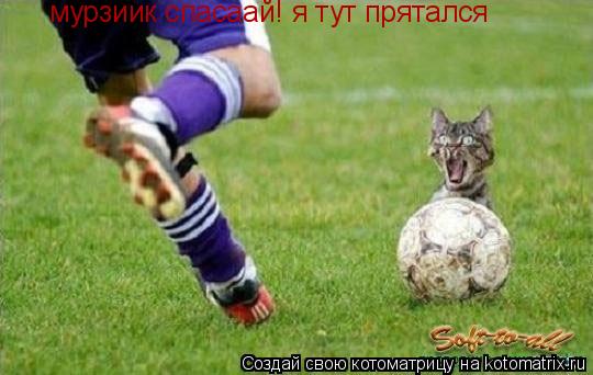 мурзиик спасаай! я тут прятался... Котоматрица: мурзиик спасаай! я тут прятался