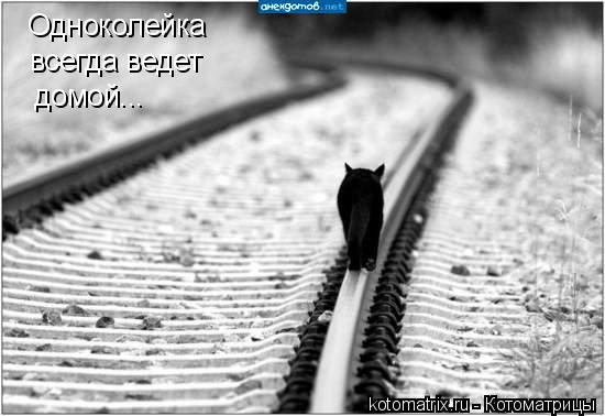Одноколейка всегда ведет домой...... Котоматрица: Одноколейка всегда ведет домой...