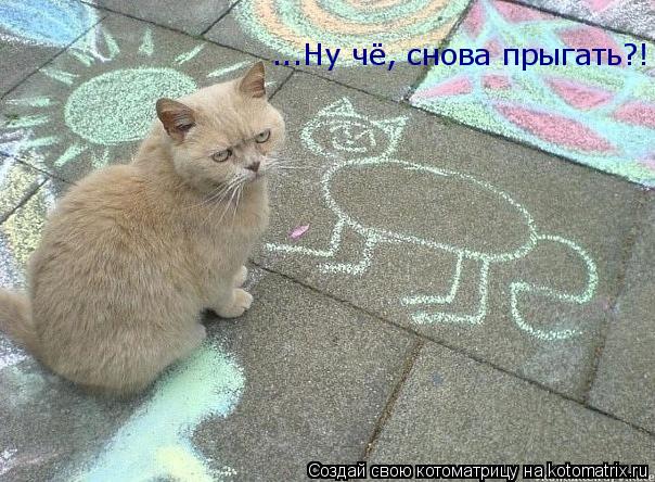 ...Ну чё, снова прыгать?!... Котоматрица: ...Ну чё, снова прыгать?!