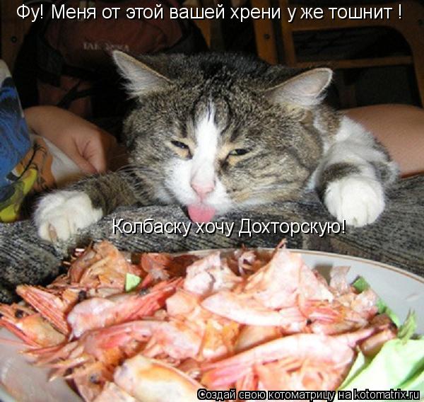 Фу! Меня от этой вашей хрени у же тошнит ! Колбаску хочу Дохторскую!... Котоматрица: Фу! Меня от этой вашей хрени у же тошнит ! Колбаску хочу Дохторскую!