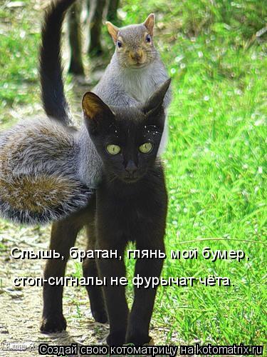 Слышь, братан, глянь мой бумер, стоп-сигналы не фурычат чёта.... Котоматрица: Слышь, братан, глянь мой бумер, стоп-сигналы не фурычат чёта.