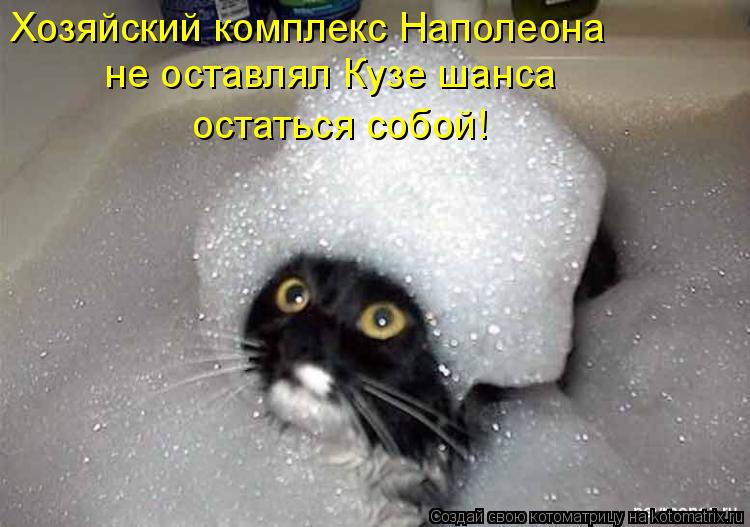 Хозяйский комплекс Наполеона не оставлял Кузе шанса остаться собой!... Котоматрица: Хозяйский комплекс Наполеона не оставлял Кузе шанса остаться собой!