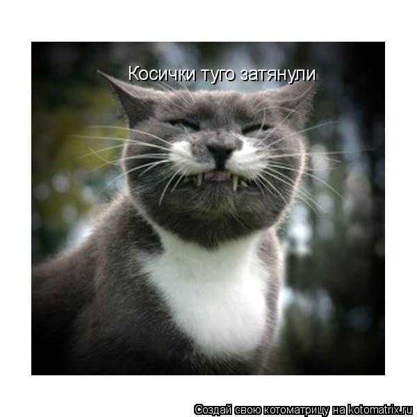 Косички туго затянули... Котоматрица: Косички туго затянули