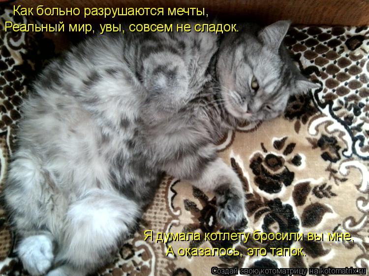 Как больно разрушаются мечты, Реальный мир, увы, совсем не сладок. Я думала котлету бросили вы мне, А... Котоматрица: Как больно разрушаются мечты, Реальный мир, увы, совсем не сладок. Я думала котлету бросили вы мне, А оказалось, это тапок.