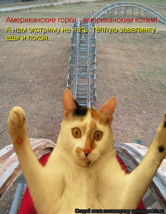 Котоматрица: Американские горки - американским котам! А нам экстриму не нать, тёплую завалинку еды и покоя... ,