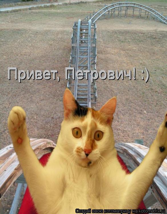 Котоматрица: Привет, Петрович! :) Привет, Петрович! :)