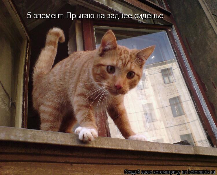 Котоматрица: 5 элемент. Прыгаю на заднее сиденье.
