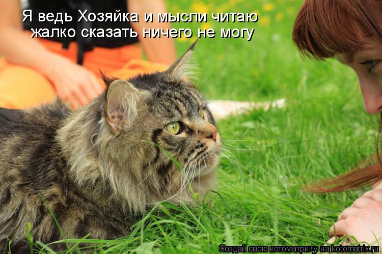 Котоматрица: Я ведь Хозяйка и мысли читаю жалко сказать ничего не могу
