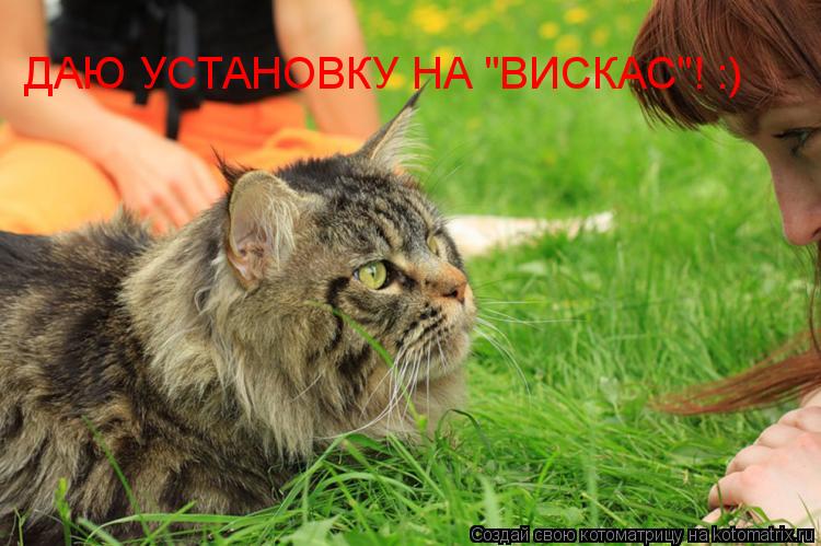Котоматрица: Даю установку: Даю установку: ДАЮ УСТАНОВКУ НА "ВИСКАС"! :)