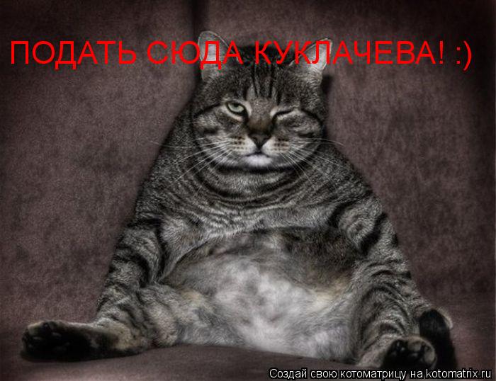 Котоматрица: ПОДАТЬ СЮДА КУКЛАЧЕВА! :)