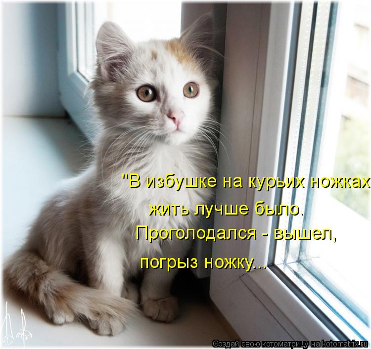 Котоматрица: "В избушке на курьих ножках  Проголодался - вышел, погрыз ножку... жить лучше было.