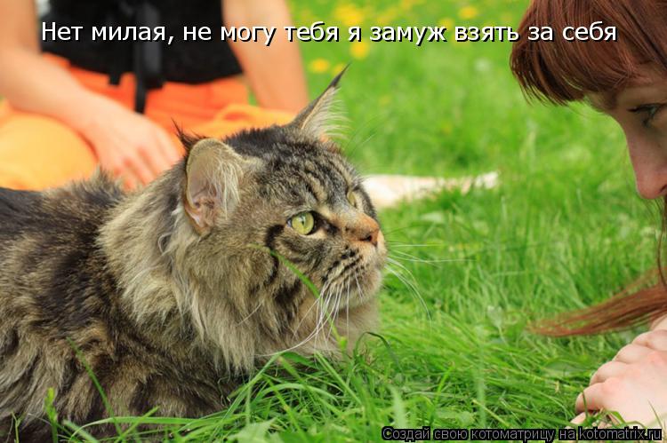 Котоматрица: Нет милая, не могу тебя я замуж взять за себя