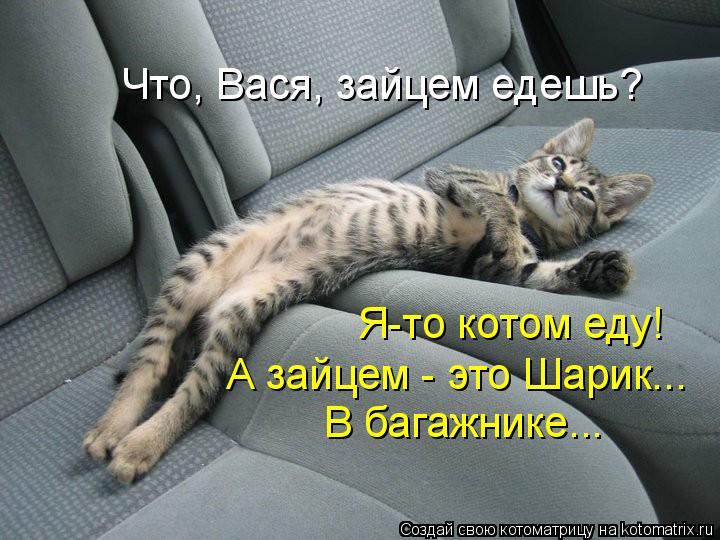 Что, Вася, зайцем едешь? Я-то котом еду! А зайцем - это Шарик... В багажнике...... Котоматрица: Что, Вася, зайцем едешь? Я-то котом еду! А зайцем - это Шарик... В багажнике...