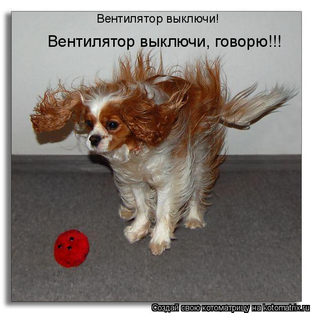 Котоматрица: Вентилятор выключи! Вентилятор выключи, говорю!!!