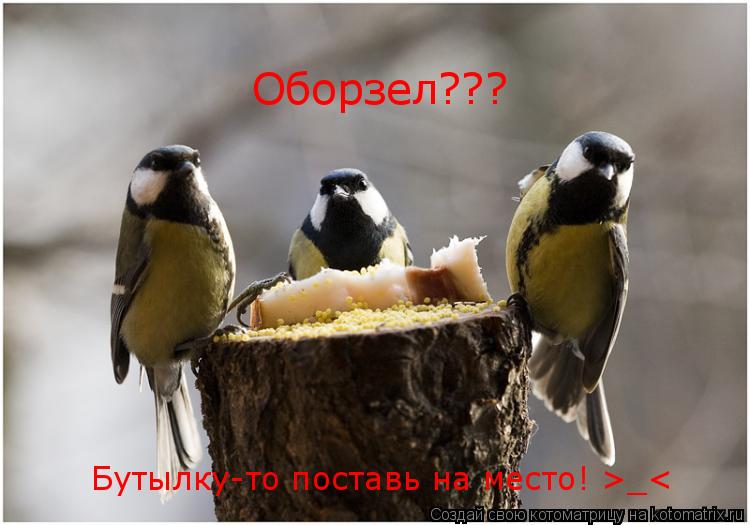 Котоматрица: Оборзел??? Бутылку-то поставь на место! >_<