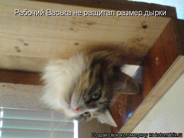Котоматрица: Рабочий Васька не ращитал размер дырки