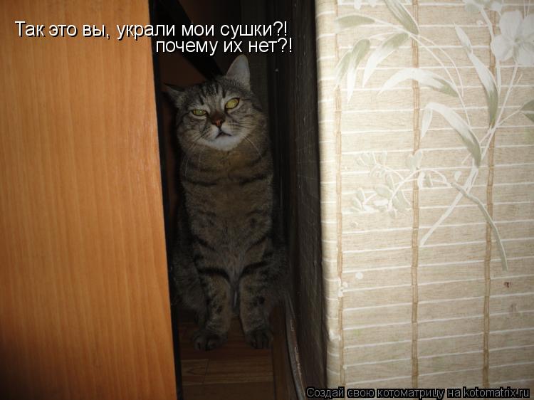 Котоматрица: Так это вы, украли мои сушки?! почему их нет?!