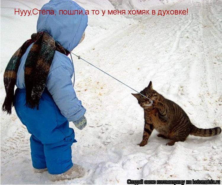 Котоматрица: Нууу,Стёпа, пошли,а то у меня хомяк в духовке!