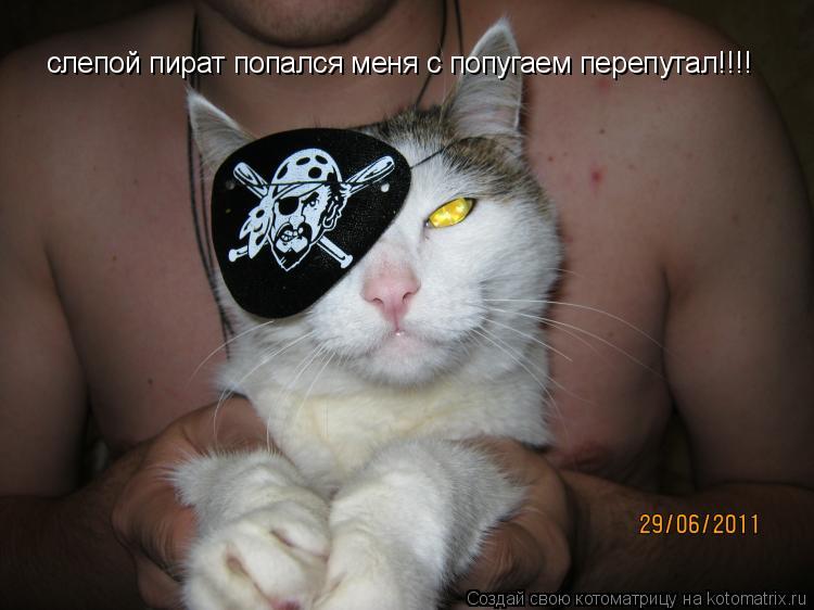 Котоматрица: слепой пират попался меня с попугаем перепутал!!!!