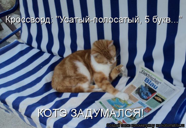 Котоматрица: Кроссворд: "Усатый-полосатый, 5 букв..." КОТЭ ЗАДУМАЛСЯ!