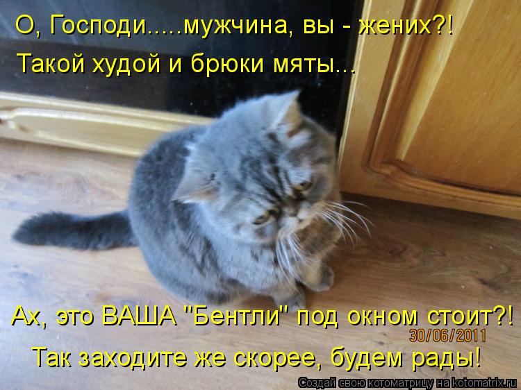 Котоматрица: О, Господи.....мужчина, вы - жених?! Такой худой и брюки мяты... Ах, это ВАША "Бентли" под окном стоит?! Так заходите же скорее, будем рады!