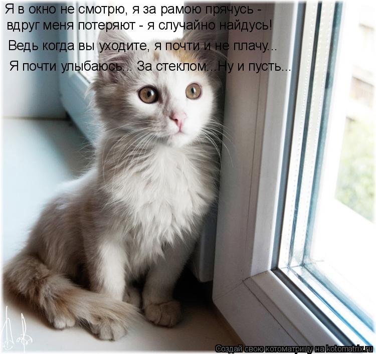 Котоматрица: Ведь когда вы уходите, я почти и не плачу... Я почти улыбаюсь... За стеклом...Ну и пусть... вдруг меня потеряют - я случайно найдусь! Я в окно не см
