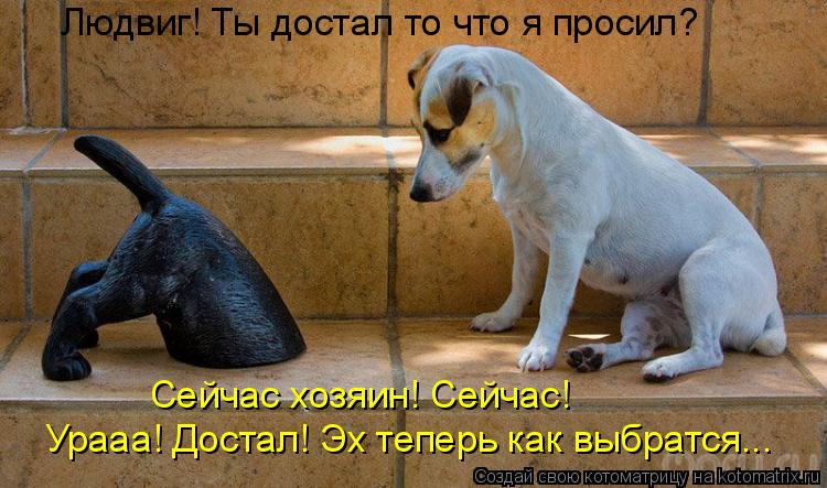 Котоматрица: Людвиг! Ты достал то что я просил? Сейчас хозяин! Сейчас! Урааа! Достал! Эх теперь как выбратся...