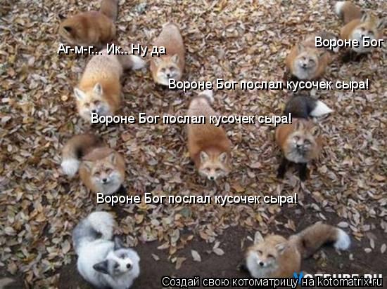 Котоматрица: Вороне Бог послал кусочек сыра! Вороне Бог послал кусочек сыра! Вороне Бог послал кусочек сыра! Вороне Бог послал кусочек сыра! Аг-м-г... Ик.. Н