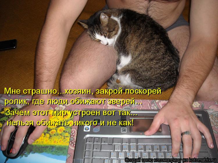 Котоматрица: Мне страшно...хозяин, закрой поскорей ролик, где люди обижают зверей... Зачем этот мир устроен вот так... нельзя обижать никого и не как!