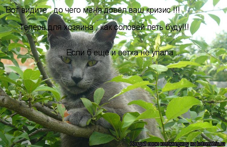Котоматрица: Вот видите , до чего меня довёл ваш кризис !!! Теперь для хозяина , как соловей петь буду!!! Если б ещё и ветка не упала ...