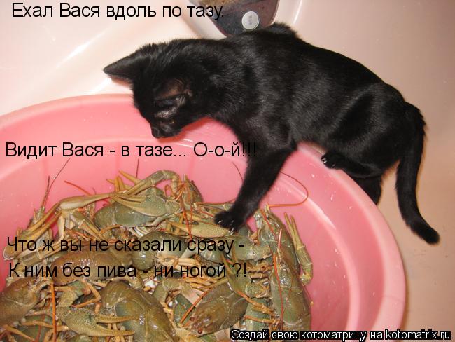 Котоматрица: Ехал Вася вдоль по тазу. Видит Вася - в тазе... О-о-й!!! Что ж вы не сказали сразу - К ним без пива - ни ногой ?!