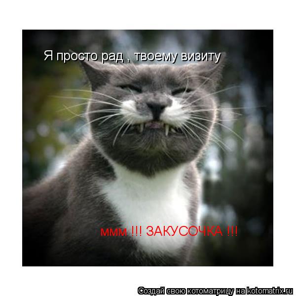 Котоматрица: Я просто рад , твоему визиту ммм !!! ЗАКУСОЧКА !!!
