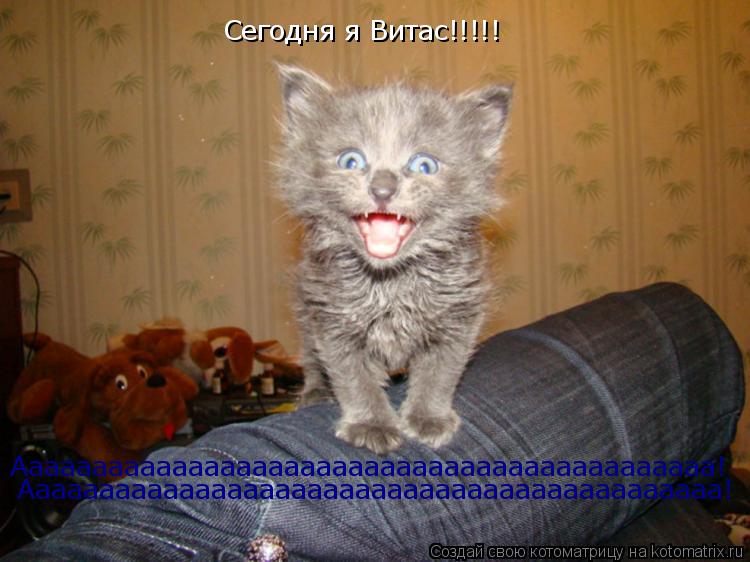 Котоматрица: Сегодня я Витас!!!!! Аааааааааааааааааааааааааааааааааааааааааааа! Аааааааааааааааааааааааааааааааааааааааааааа!
