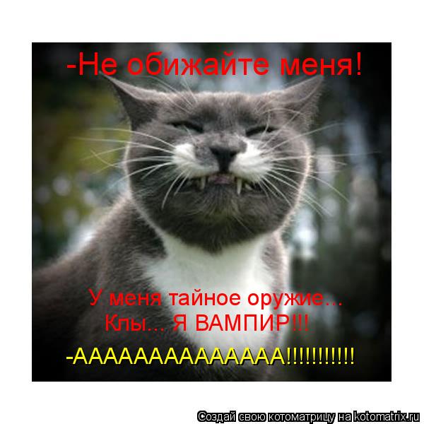 Котоматрица: У меня тайное оружие... Клы... Я ВАМПИР!!! -АААААААААААААА!!!!!!!!!!! -Не обижайте меня! -Не обижайте меня!